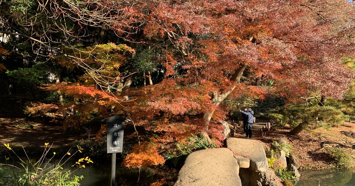 리쿠기엔 도게츠교